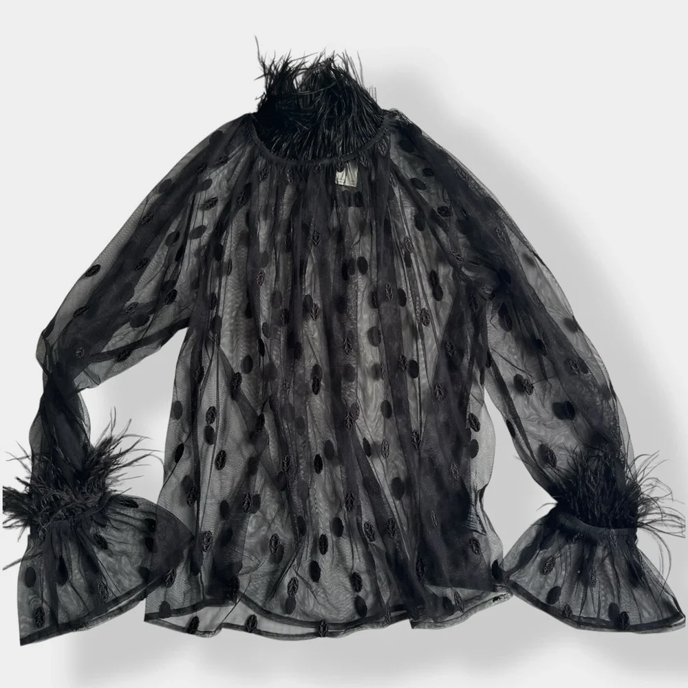 Anthropologie Rdalamal Black Ruffled Sheer Blouse Long Sleeve Feather Trim New M - Picture 6 of 13